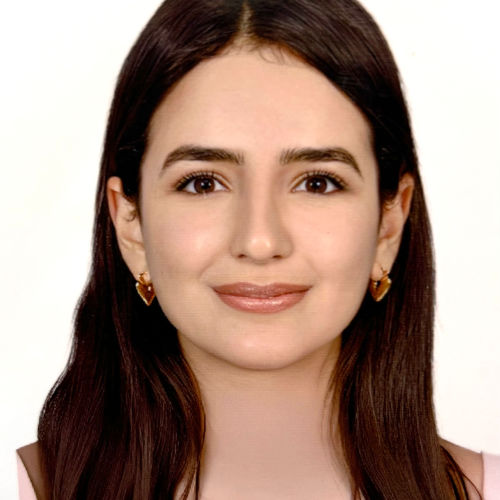 Mariem Feki
