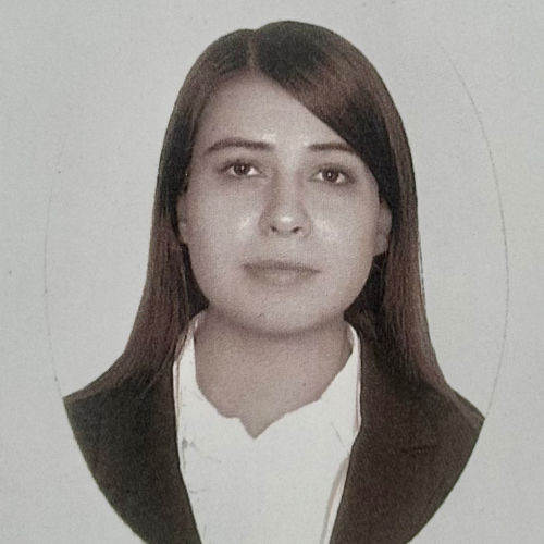 Karen Liliana Avila Venegas