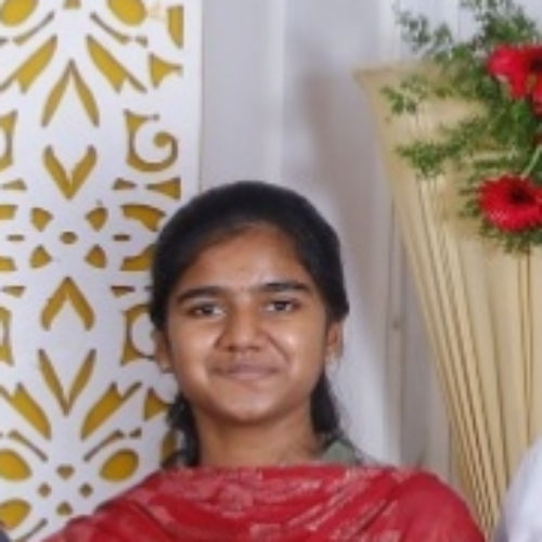 Narmathadevi S