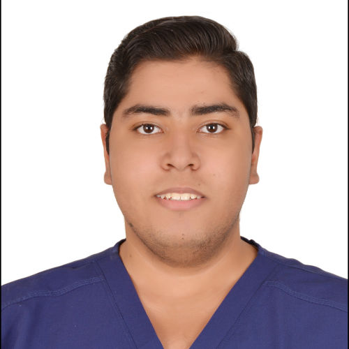 Mohamed Khaled Gamal Eldin